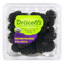 Organic Blackberries Driscoll's 6 oz