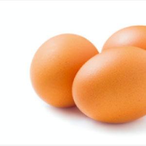 Larry Schultz Eggs Organic