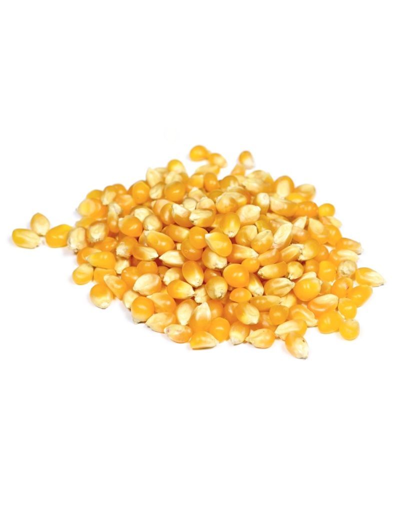 Popcorn, Yellow, Org.